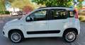 Fiat Panda Lounge Blanc - thumbnail 5