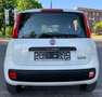 Fiat Panda Lounge Blanc - thumbnail 8