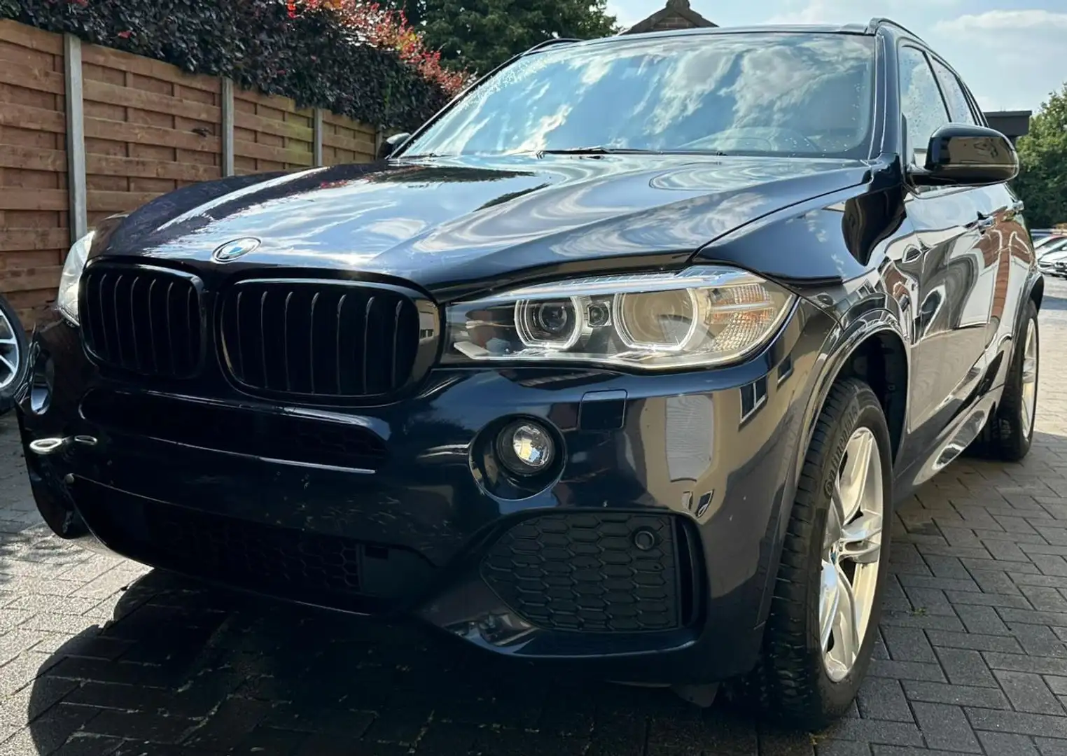 BMW X5 xDrive25d M-Pack InjectorPomp Probleem Noir - 1
