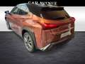 Lexus UX 300e F Sport Design Bronze - thumbnail 6