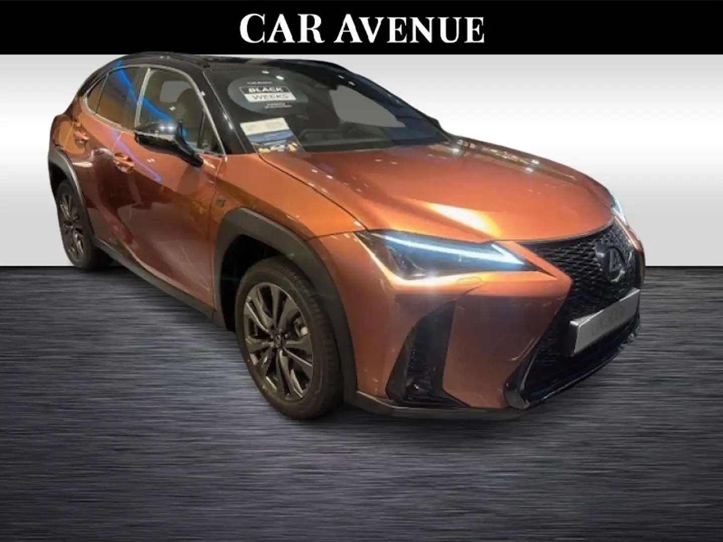 Lexus UX 300e F Sport Design Bronze - 2