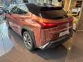 Lexus UX 300e F Sport Design Bronze - thumbnail 18
