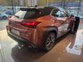 Lexus UX 300e F Sport Design Bronze - thumbnail 16