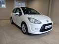 Citroen C3 1.4 hdi DIESEL TETTO PANORAMICO CRUISE C. LEGA16" Bianco - thumbnail 4