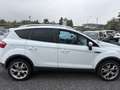 Ford Kuga Titanium-INDIVIDUAL-4X4 2.5 Benziner Weiß - thumbnail 4