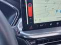 Ford Kuga 2.5 PHEV Titanium Nieuw model!| Panoramadak | Adap Rood - thumbnail 23