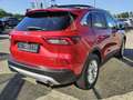 Ford Kuga 2.5 PHEV Titanium Nieuw model!| Panoramadak | Adap Rood - thumbnail 5