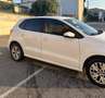 Volkswagen Polo POLO SOCIETE 1.6 TDI 90 FAP TRENDLINE BUSINESS REVERSIBLE Blanc - thumbnail 8
