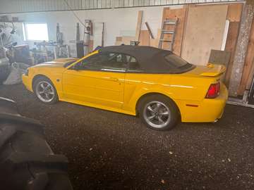 GT