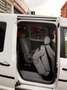 Volkswagen Caddy 1.9TDI Kombi 75 Weiß - thumbnail 15