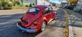 Volkswagen Käfer 1200 mit H Oldtimer Sondermodell Samtrot Rouge - thumbnail 6
