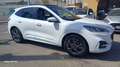 Ford Kuga Kuga III 2021 1.5 ecoblue ST-Line 2wd 120cv Bianco - thumbnail 3