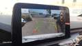 Ford Kuga Kuga III 2021 1.5 ecoblue ST-Line 2wd 120cv Bianco - thumbnail 9