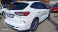 Ford Kuga Kuga III 2021 1.5 ecoblue ST-Line 2wd 120cv Bianco - thumbnail 4
