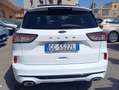 Ford Kuga Kuga III 2021 1.5 ecoblue ST-Line 2wd 120cv Bianco - thumbnail 5