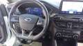 Ford Kuga Kuga III 2021 1.5 ecoblue ST-Line 2wd 120cv Bianco - thumbnail 11