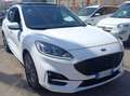 Ford Kuga Kuga III 2021 1.5 ecoblue ST-Line 2wd 120cv Bianco - thumbnail 2