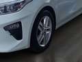 Kia Ceed SW / cee'd SW ceed SW 1,0 T-GDI GPF ISG Silber Weiß - thumbnail 19