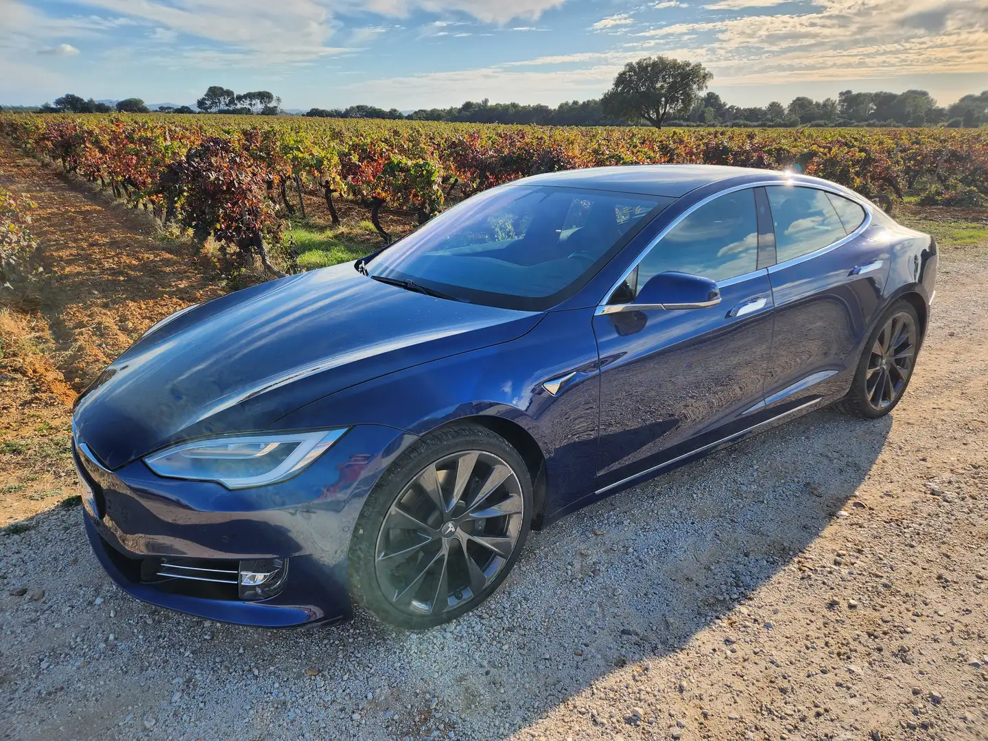 Tesla Model S MODEL S Long Range AWD Blau - 2