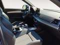 Audi Q5 GENUINE EDITION 40 TDI QUATTRO 150(204) KW(CV) Bleu - thumbnail 6