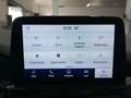 Ford Kuga 2.5 Duratec PHEV ST-Line 4x2 Negro - thumbnail 17