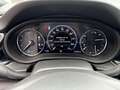 Opel Insignia 2.0 CDTi OPC LINE+CAM+PDC+NAVI++ Rot - thumbnail 14