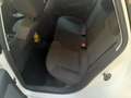 Volkswagen Polo Polo V 2009 5p 1.6 tdi Comfortline 90cv Bianco - thumbnail 5