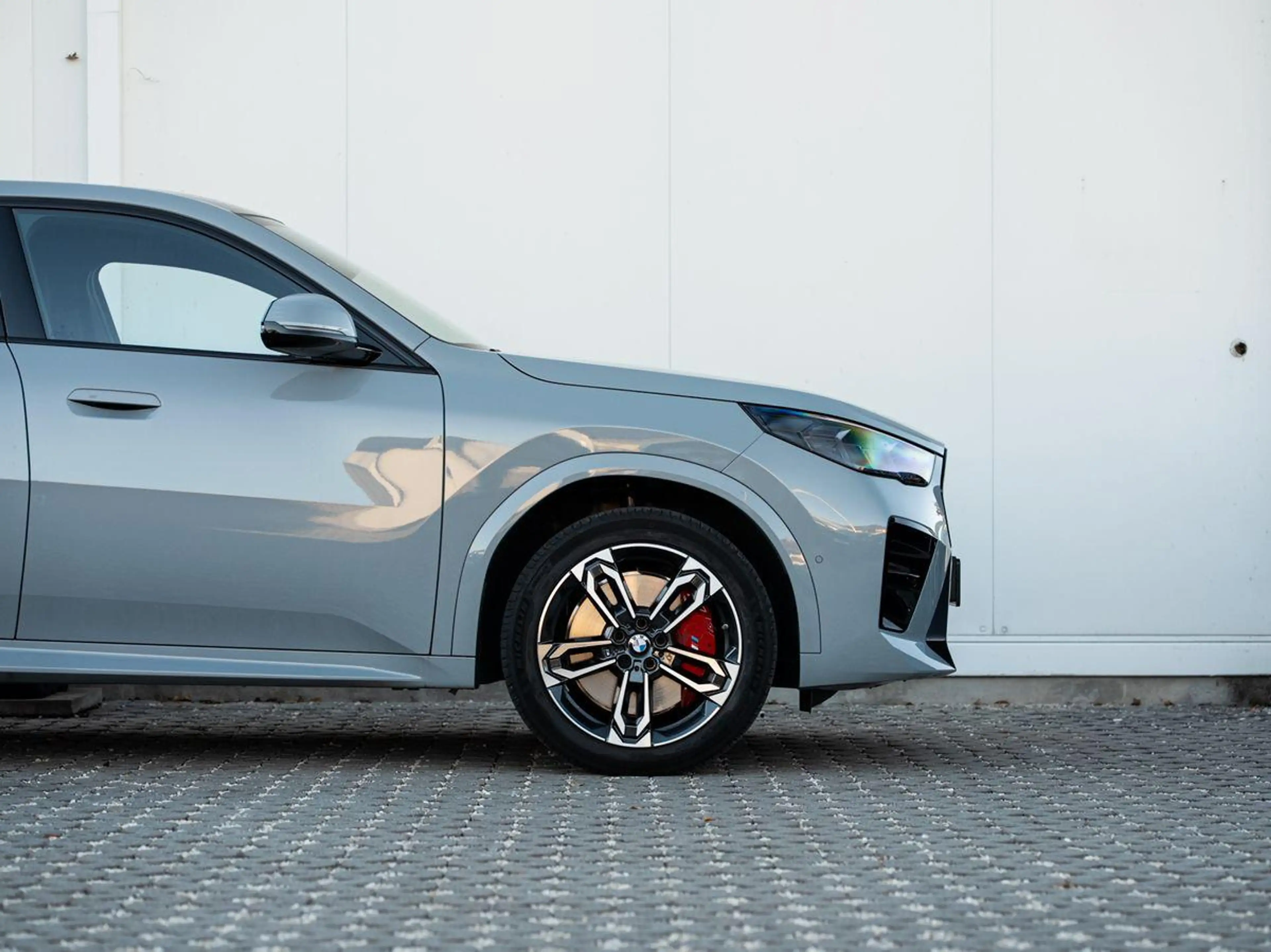 BMW X2 sDrive20i M-SportPRO 19 PANO KoZg AdLED RFK — photo 10