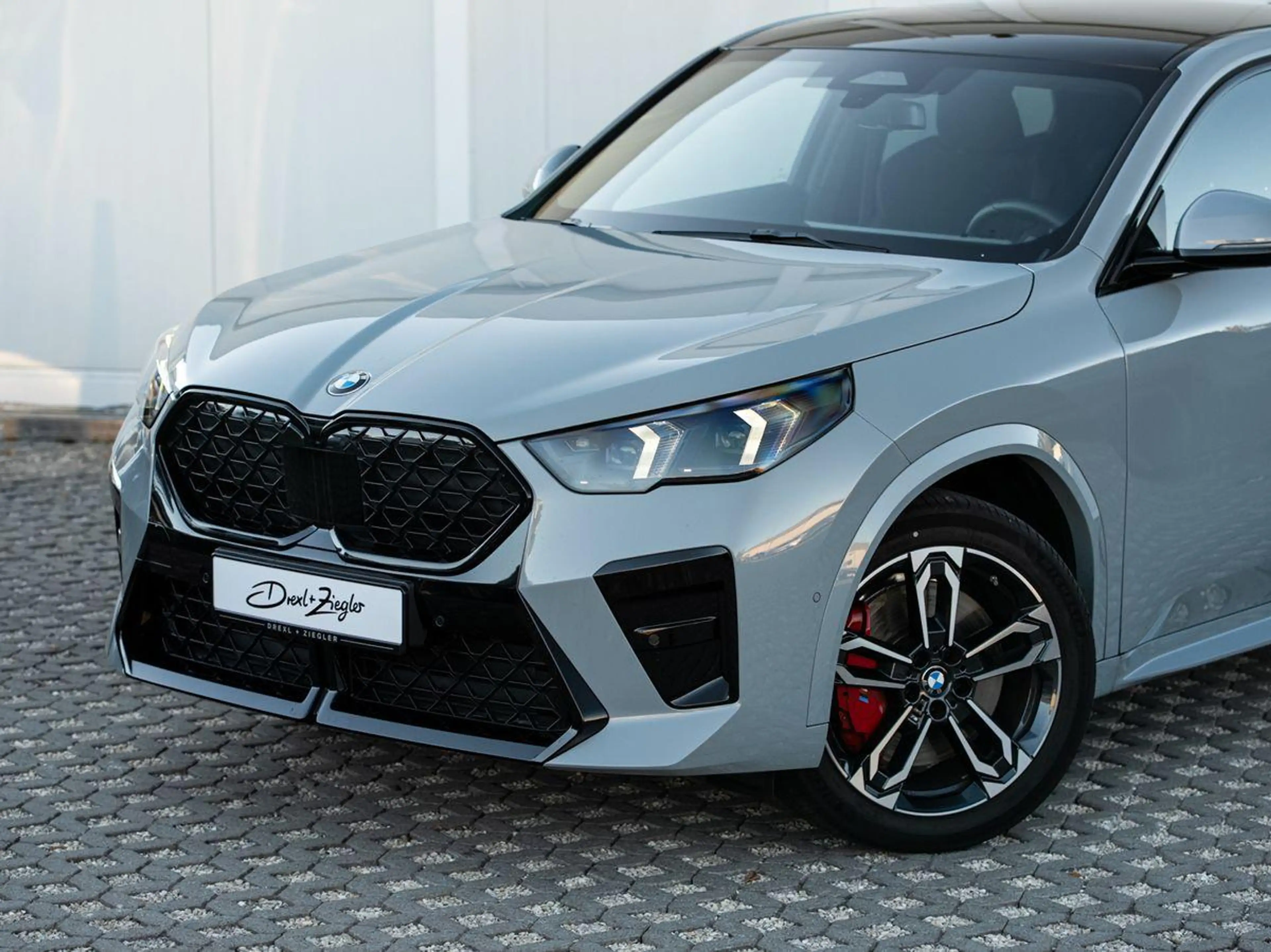 BMW X2 sDrive20i M-SportPRO 19 PANO KoZg AdLED RFK — photo 4