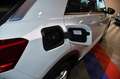 Volkswagen T-Roc Carat 1.5 TSI 150 DSG GPS Virtual ACC Parc Assist front Lane Caméra Hayon Parc Assist JA 17 Blanc - thumbnail 17