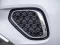 Mercedes-Benz GLS 600 Maybach Manufaktur FirstClass Distr. Weiß - thumbnail 41
