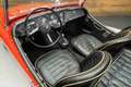 Triumph Sonstige TR3A Cabriolet | 1961 Rot - thumbnail 11