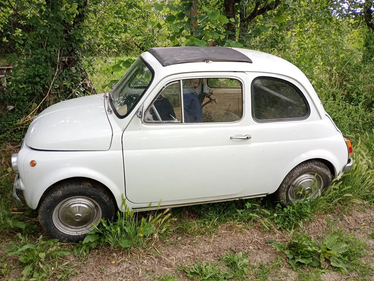 Fiat 500 1965, foto 3