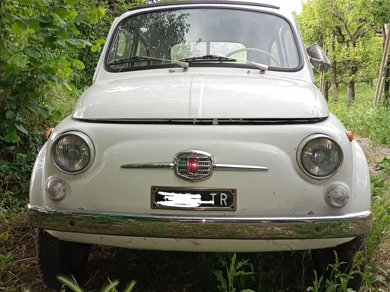 Fiat 500 1965, foto 2