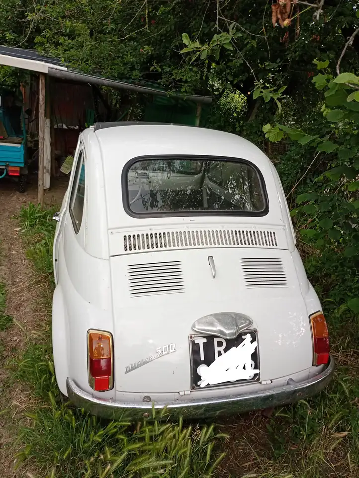 Fiat 500 1965, foto 1