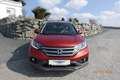 Honda CR-V ALLRAD 2.2 Diesel Automatik Rot - thumbnail 3