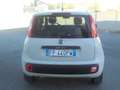 Fiat Panda 1.3 MJET 95 CV  EASY  EU. 6  71300  KM. CERT. Bianco - thumbnail 5