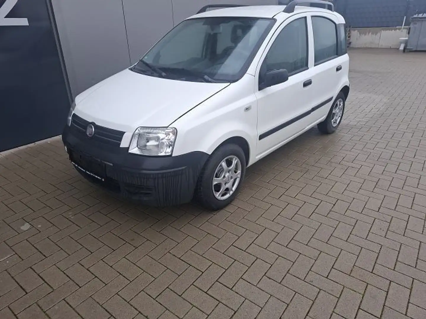 Fiat Panda 1.2 8V Dynamic,Klima,ZF,EFE Weiß - 1