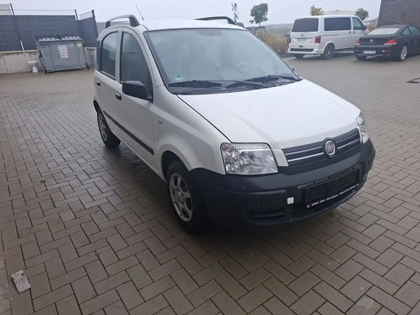 Fiat Panda 1.2 8V Dynamic,Klima,ZF,EFE Weiß - 2