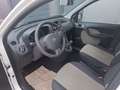 Fiat Panda 1.2 8V Dynamic,Klima,ZF,EFE Weiß - thumbnail 7