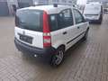 Fiat Panda 1.2 8V Dynamic,Klima,ZF,EFE Weiß - thumbnail 3