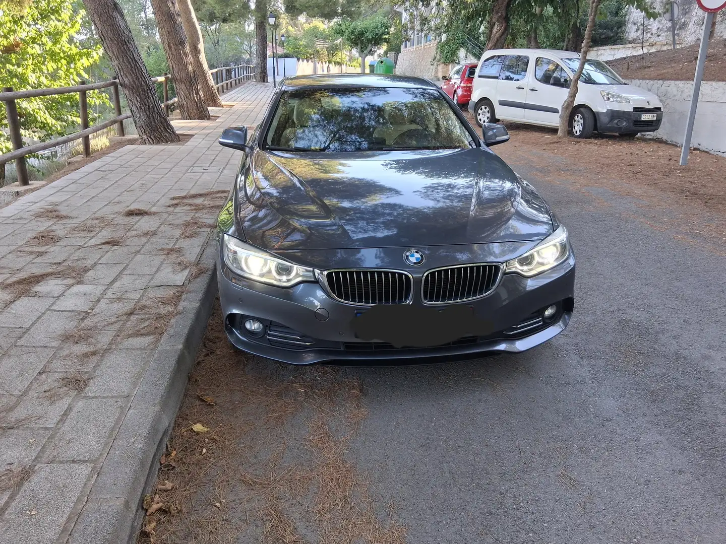 BMW 420 420dA Coupé Luxury Luxury Gris - 1