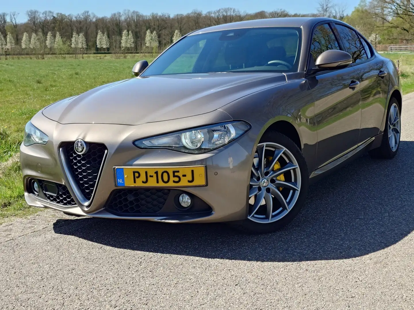 Alfa Romeo Giulia 2.2 Eco Bns Super Grijs - 1