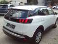 Peugeot 3008 Active Business KAMERA,NAVI,PDC,ALU Weiß - thumbnail 2