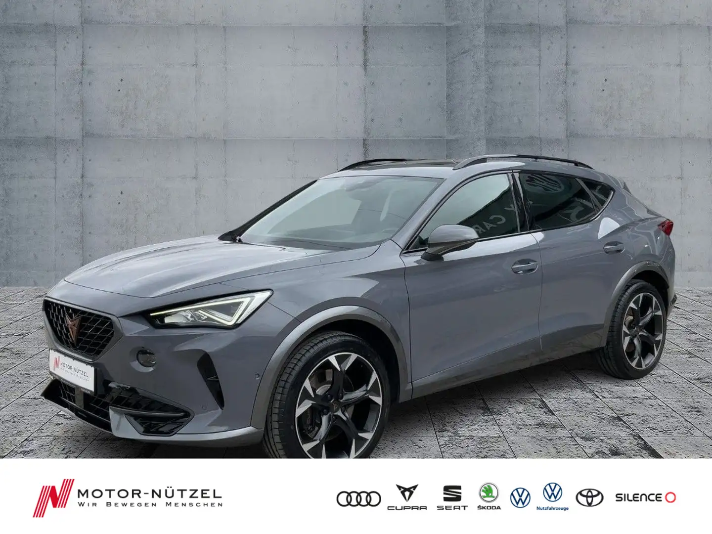 CUPRA Formentor VZ 2.0 TSI DSG 4DRIVE LED+NAVI+PANO Gris - 1