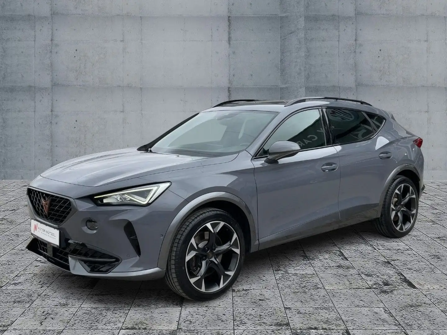 CUPRA Formentor VZ 2.0 TSI DSG 4DRIVE LED+NAVI+PANO Gris - 2