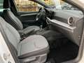 SEAT Ibiza Xcellence 1.0 TSI 85 kW (116 PS) 6-Gang Blanc - thumbnail 13