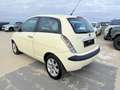 Lancia Ypsilon 1.3 Jtd 70 Blanc - thumbnail 4