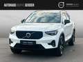 Volvo XC40 B3 Mild-Hybrid Plus Dark  ACC BLIS LED Weiß - thumbnail 1