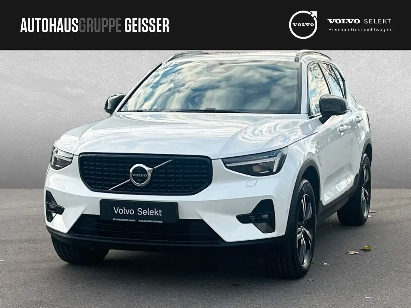 Volvo XC40 B3 Mild-Hybrid Plus Dark ACC BLIS LED Weiß - 1